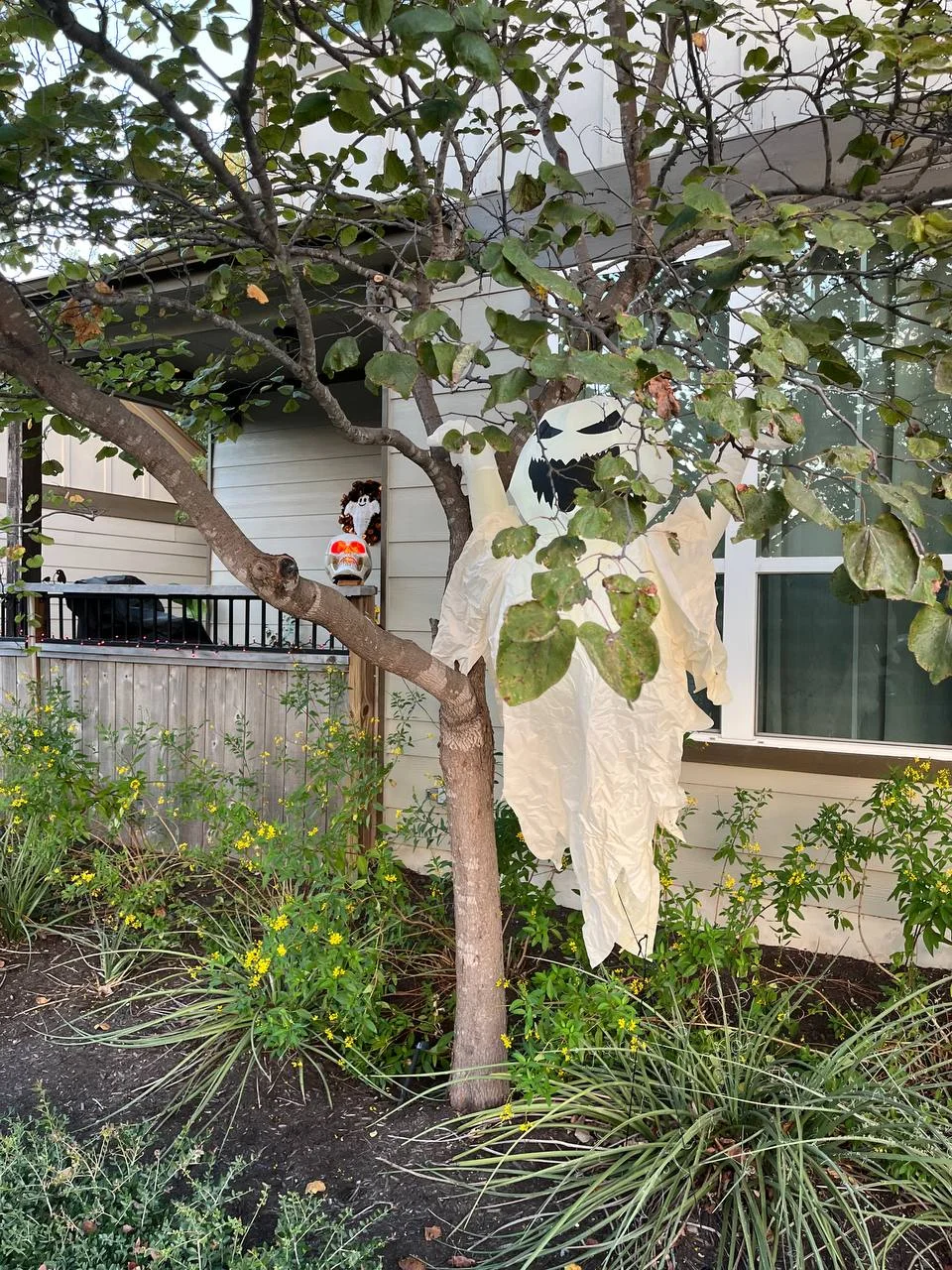 2025-10-06 20.43.40.webp