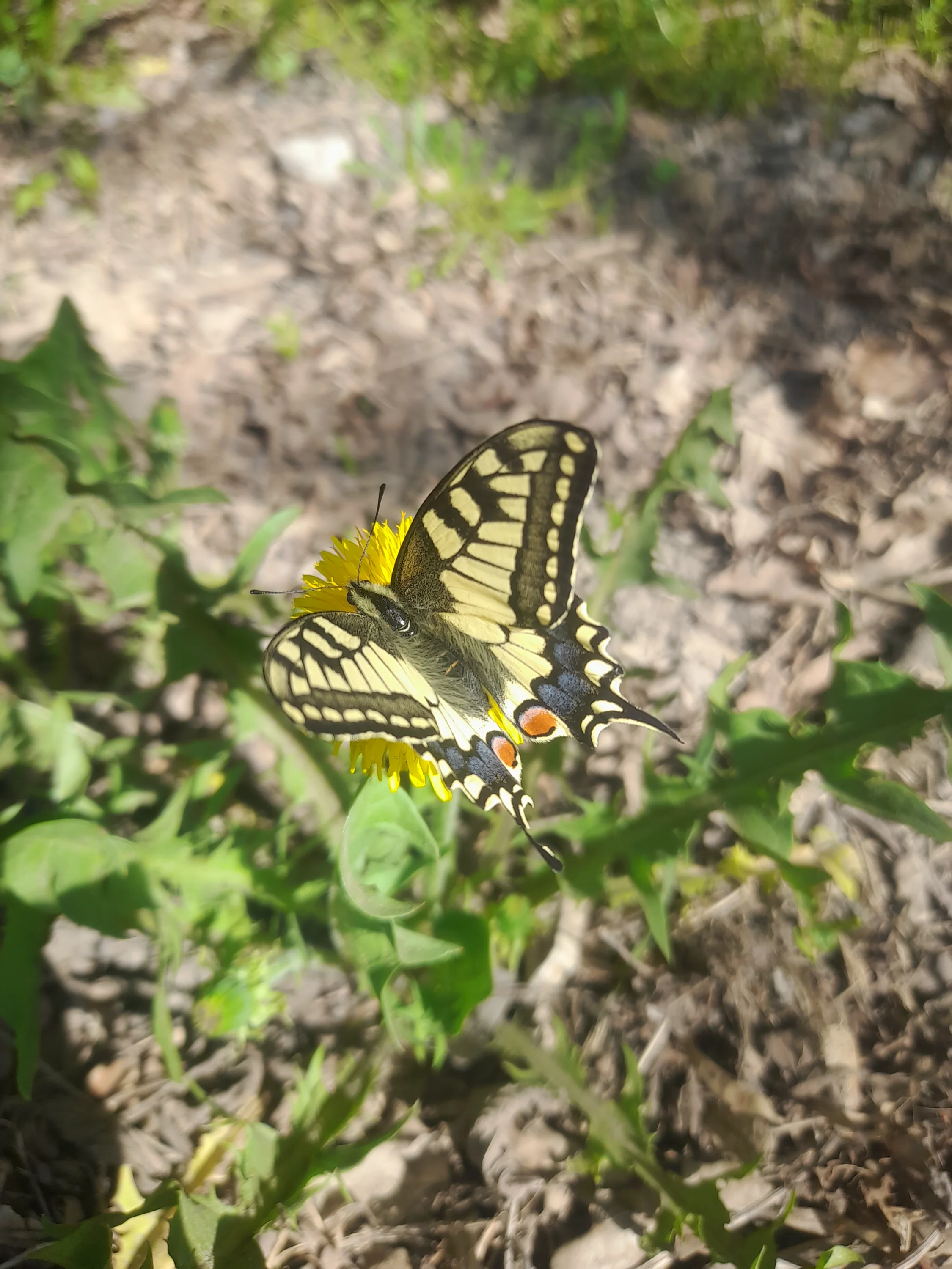 20250423_095341 (1).webp