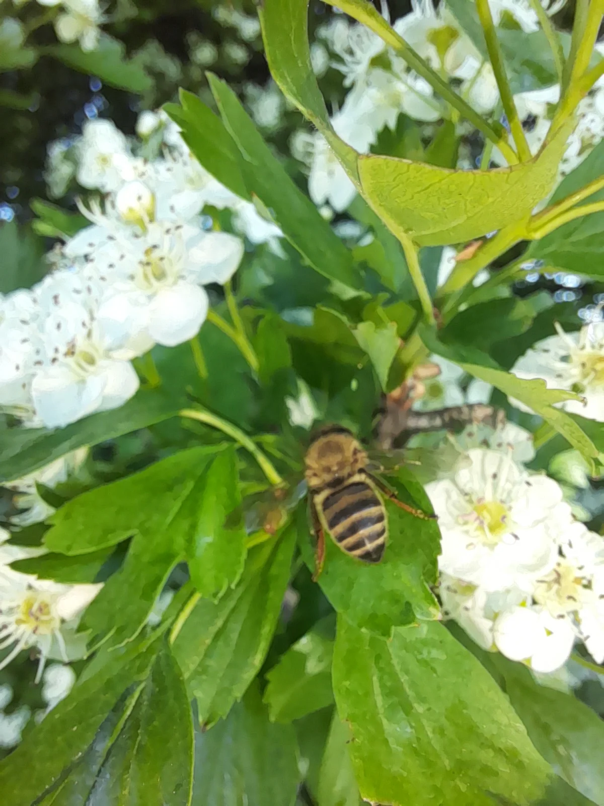 20250508_083436 (1).webp