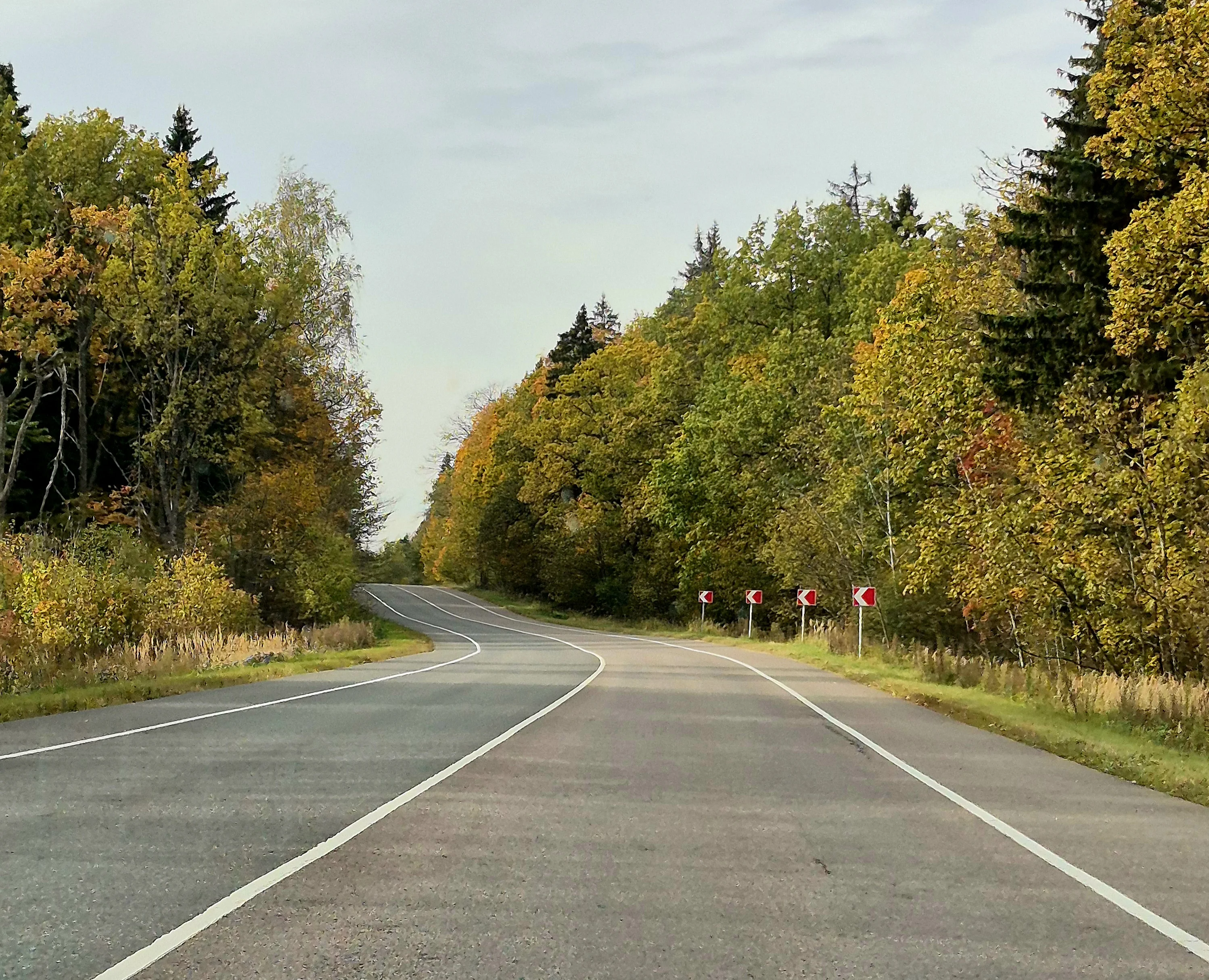 20251004_125310-webp.2224566