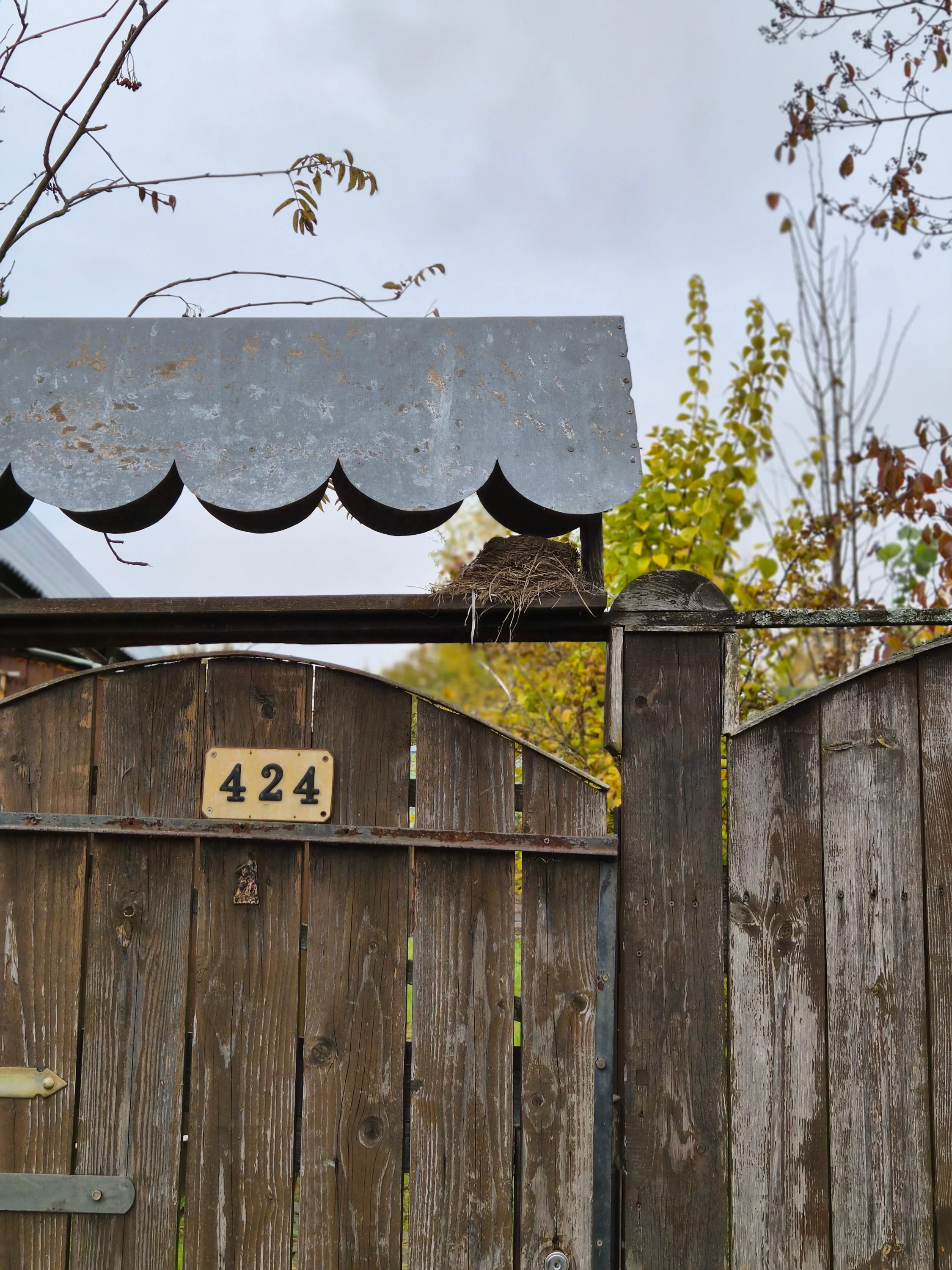 20251007_120039-webp.2224733