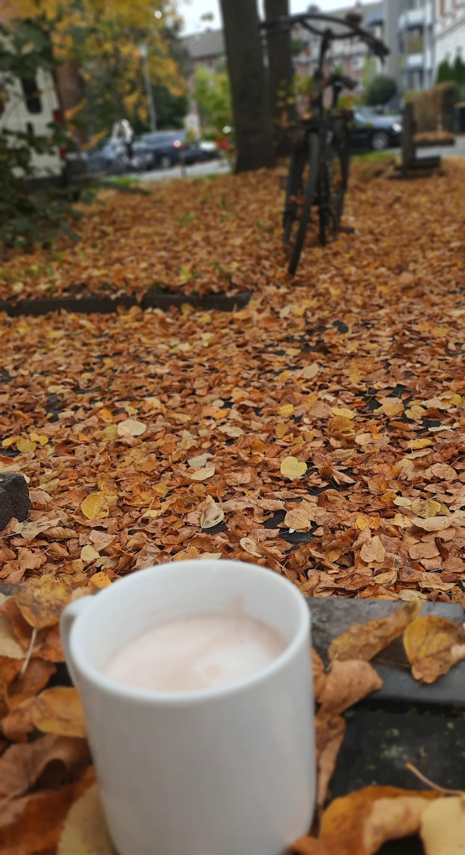 20251013_134010-webp.2227313