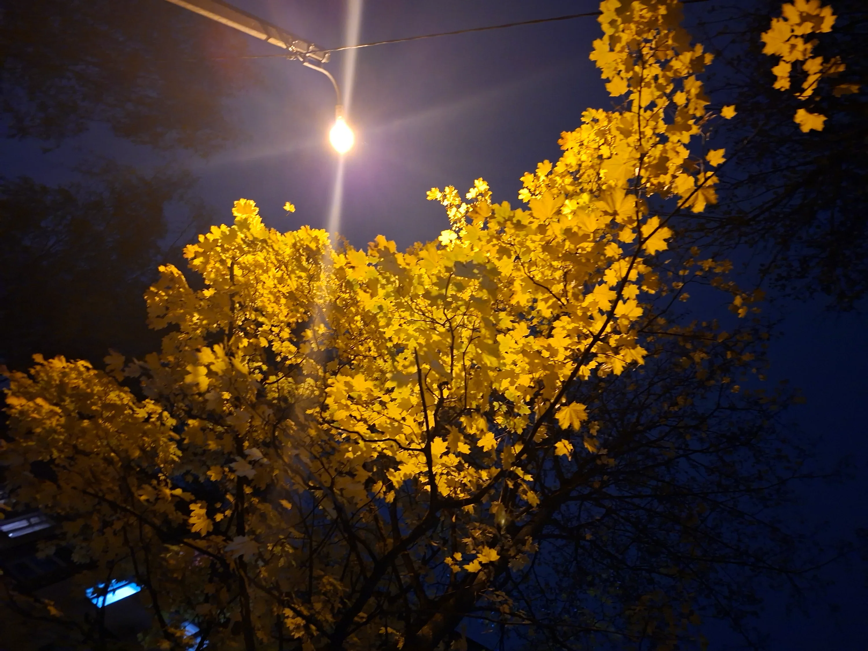 20251014_190842.webp