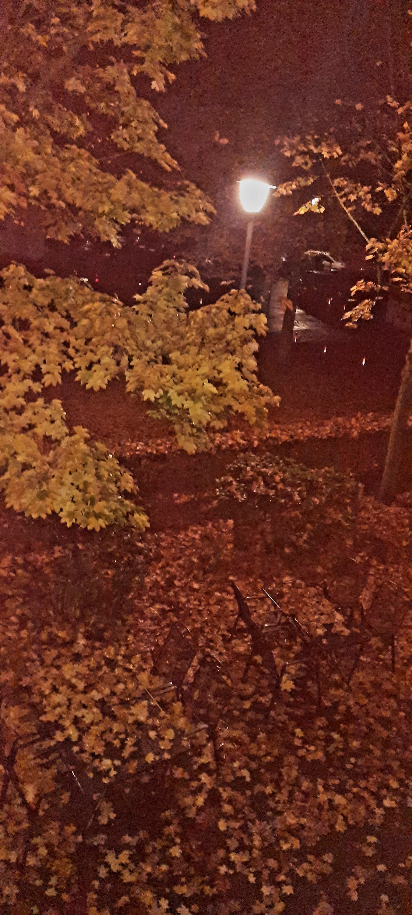 20251016_021158.webp