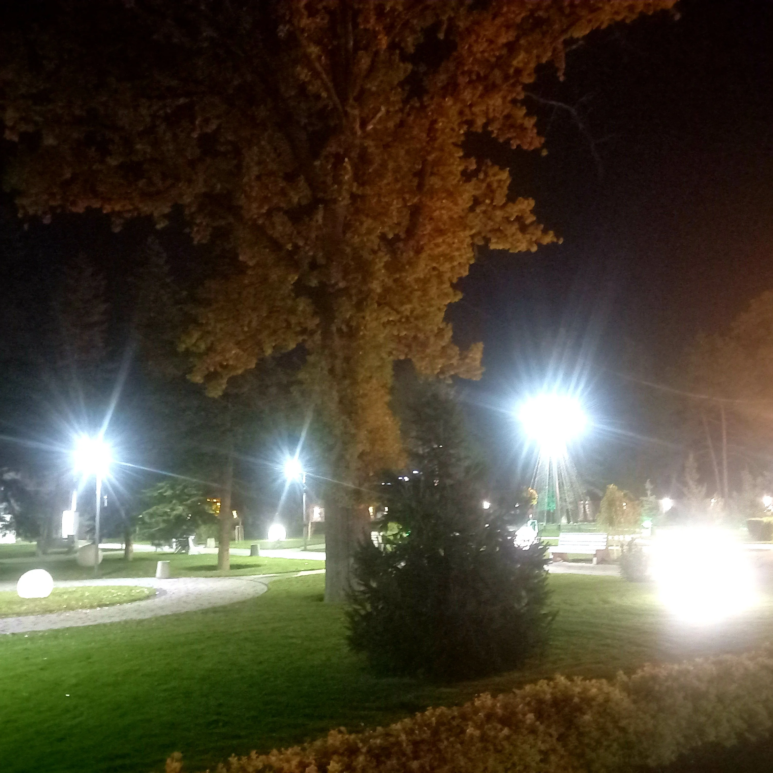 20251024_194829.webp