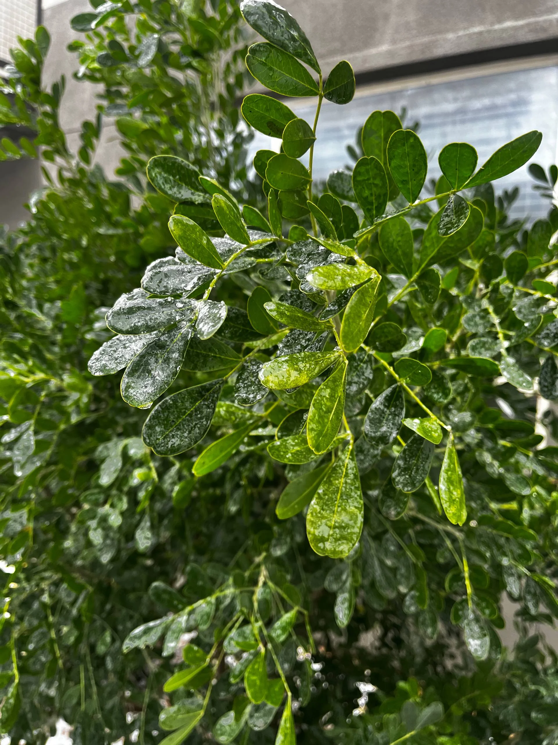 2026-01-26 07.24.57.webp