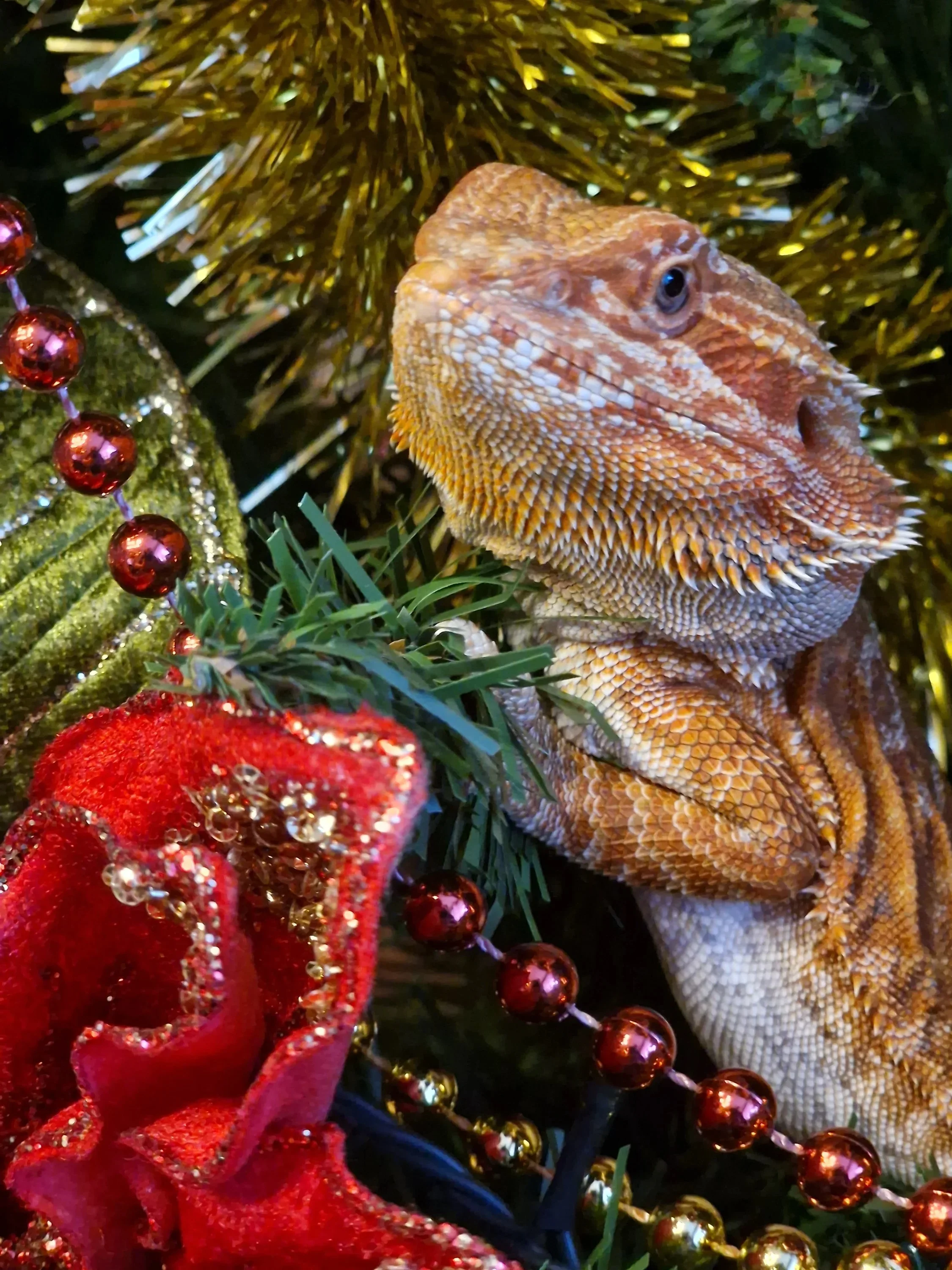 20260104_141612 (1).webp