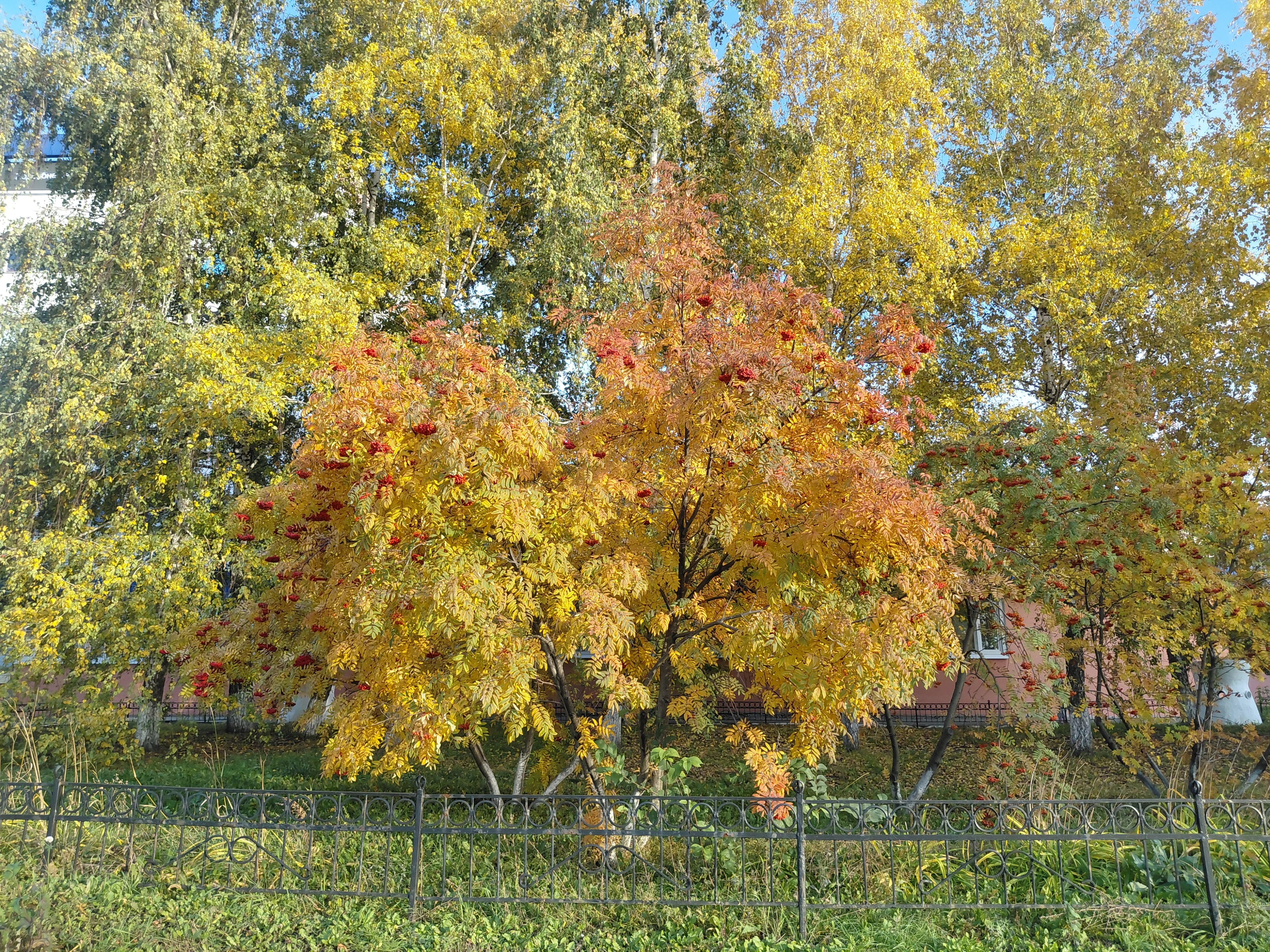20261013_163401.webp