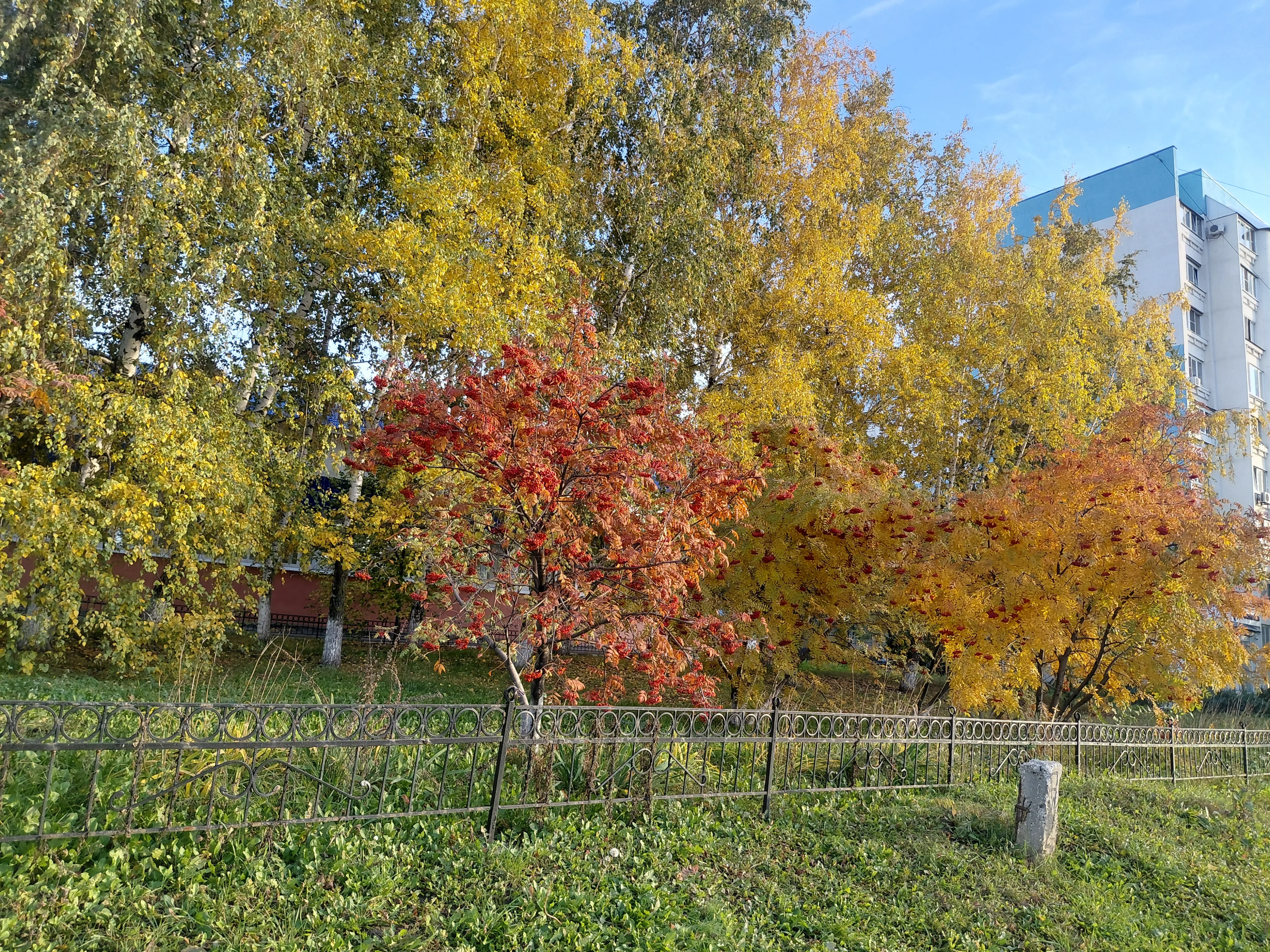 20261013_163424.webp