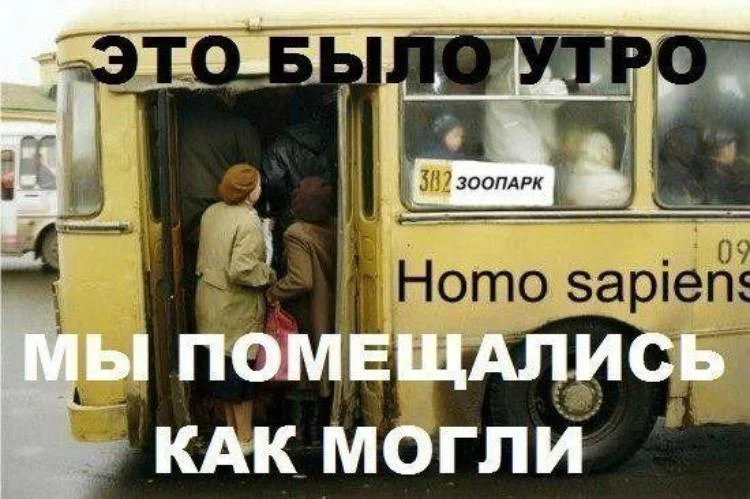 20378447_e48a6e0b2b6556a4a2210da237f2b953_800.webp