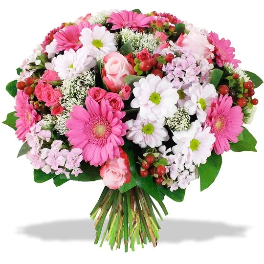 20395b5f4b6ed0ed870c3aabda73e194.webp