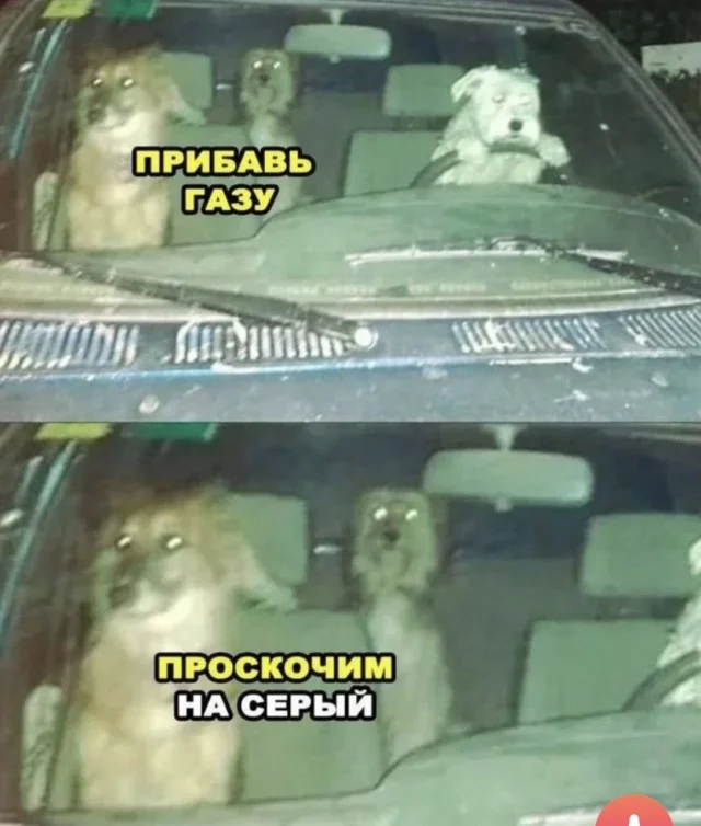20474266.webp