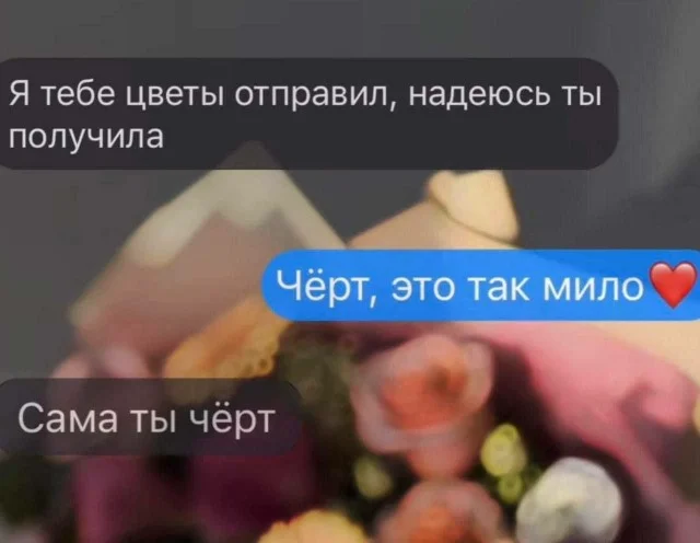 20482689.webp