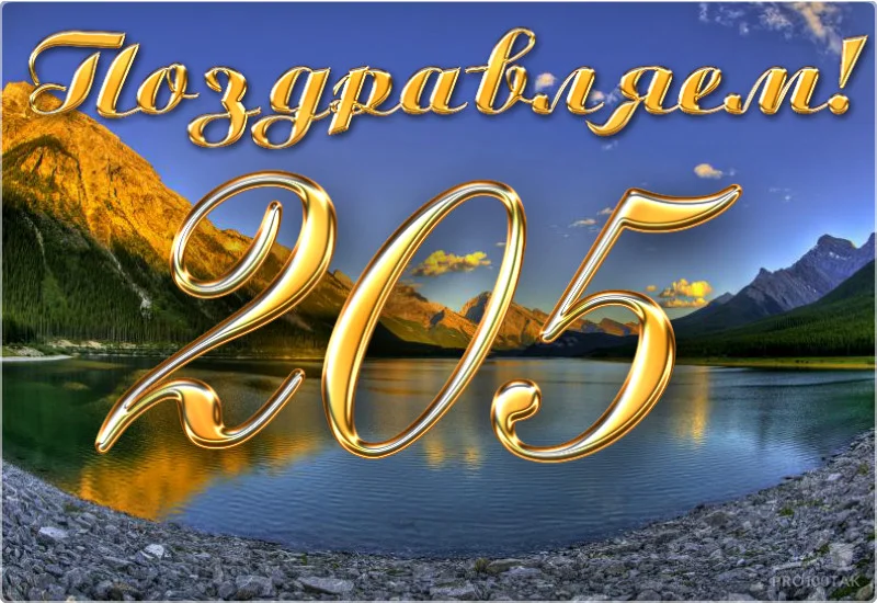 205 поздравляем.webp