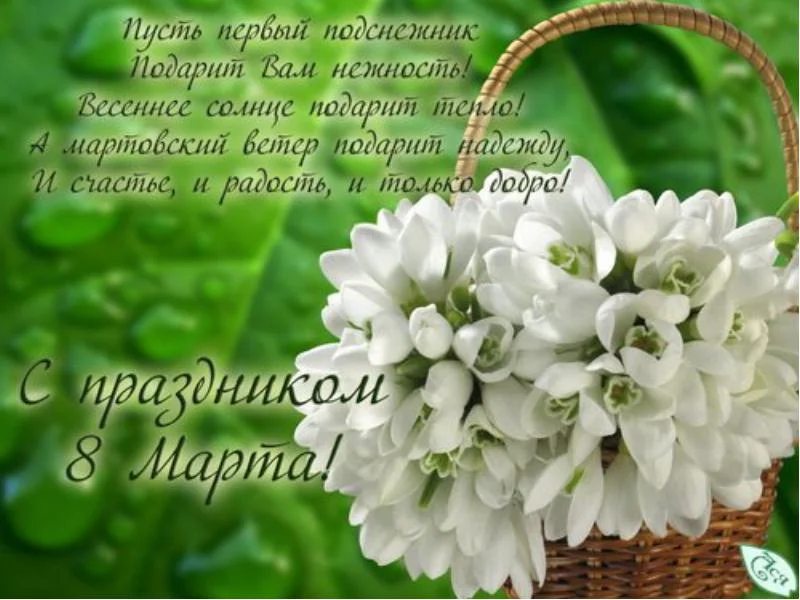 206.webp