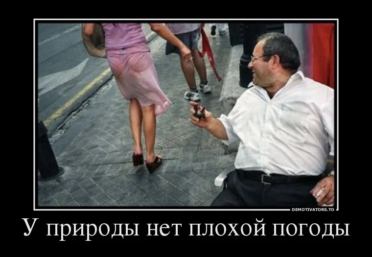 %20demotivators.to_media_posters_924_87103570_u-prirodyi-net-plohoj-pogodyi.webp