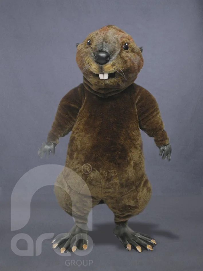 20e4489d997d18e5f0e14beb85c0918e (1).webp