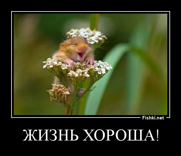 20f84181ca187dab2764751964e8bb85.webp