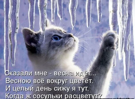 21.webp