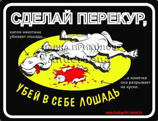 21.webp
