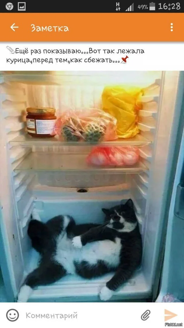 210e805537fd4359cc9d489612b17b71 (1).webp