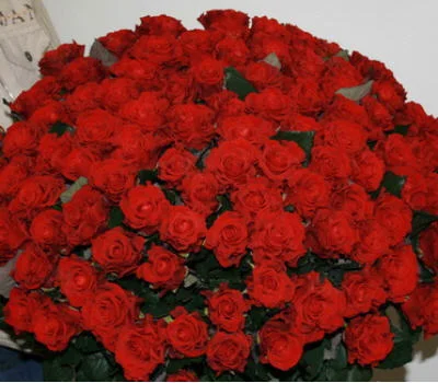 211192.webp
