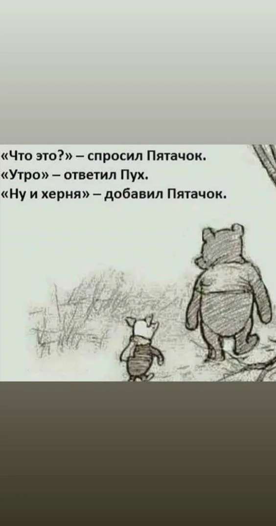 2114a49fb4f5a64d2120bde8bb6ba87f (1).webp