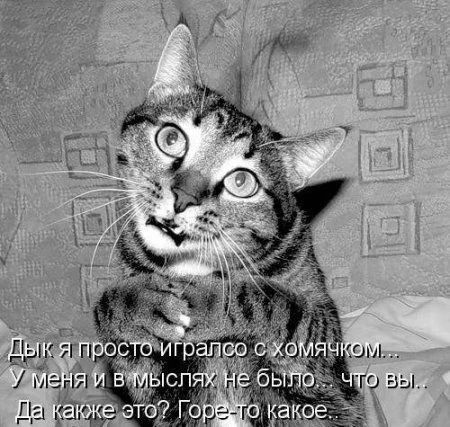 212cdf3572c0322a125bd9cb02f6bad1_full.webp