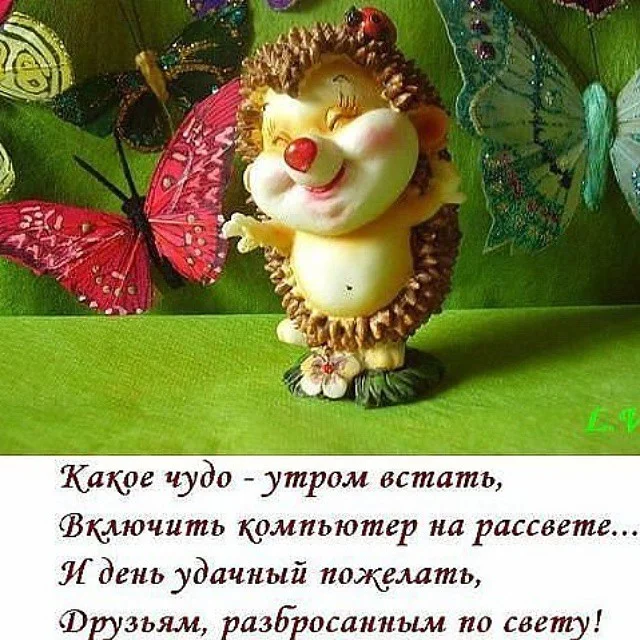 21389011_cb7df1e6c749b6fbd6e7cd89d592c1b0_800.webp