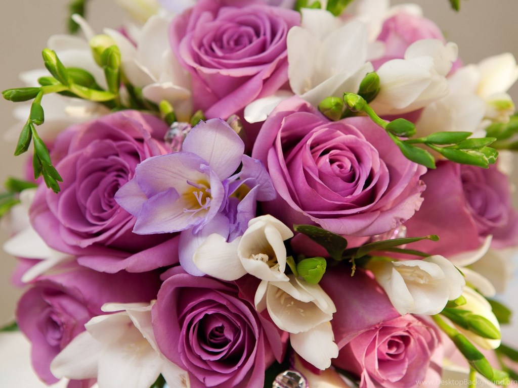 213904_bouquets-of-flowers-beautiful-purple-white-flowers-bouquet-flowers_2560x1600_h.jpg