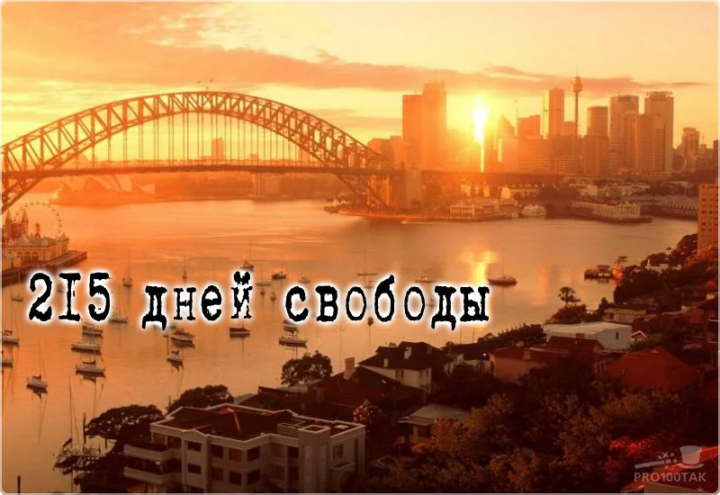 215 поздравляем.webp