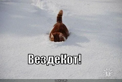 21873.webp