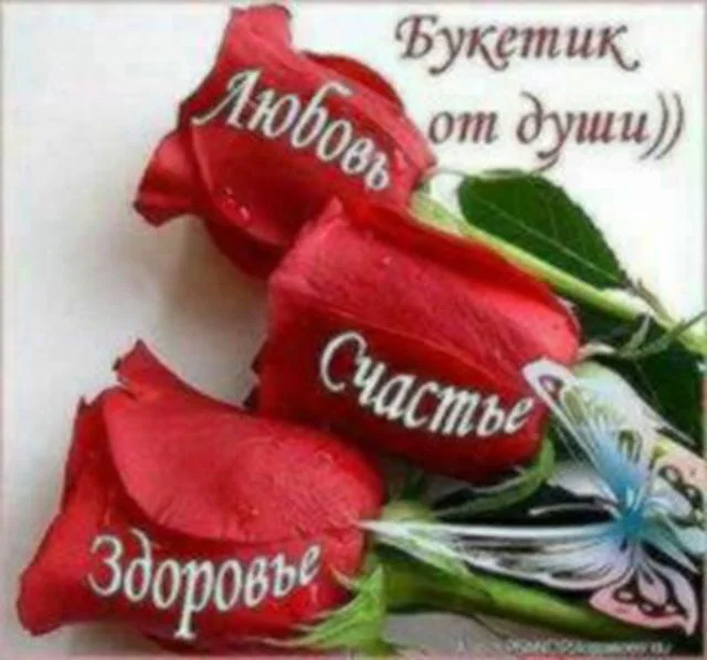 2187667111867.webp