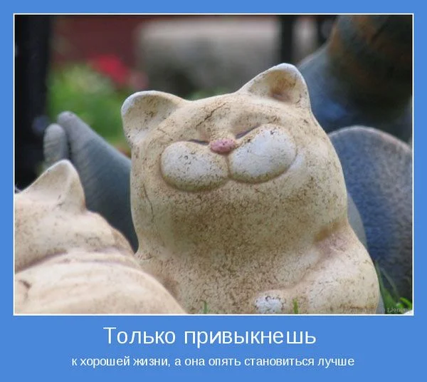 22.webp