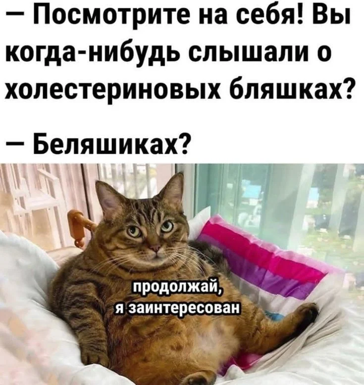 2213828d56958b38cf9148af23df183e (1).webp