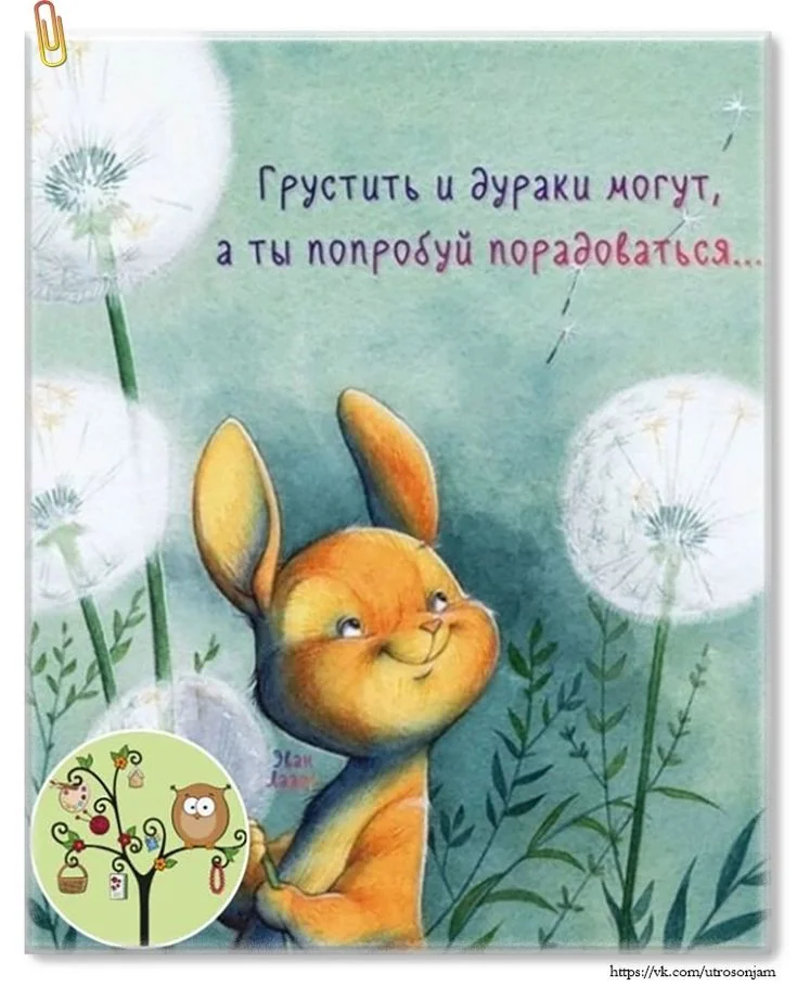 221bc767d7cfe990dd30125a95db3233.webp