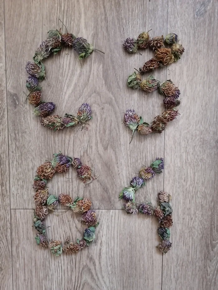 222.webp