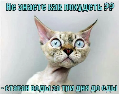 22295718f5cbff5ed372cdd1609c189f.webp