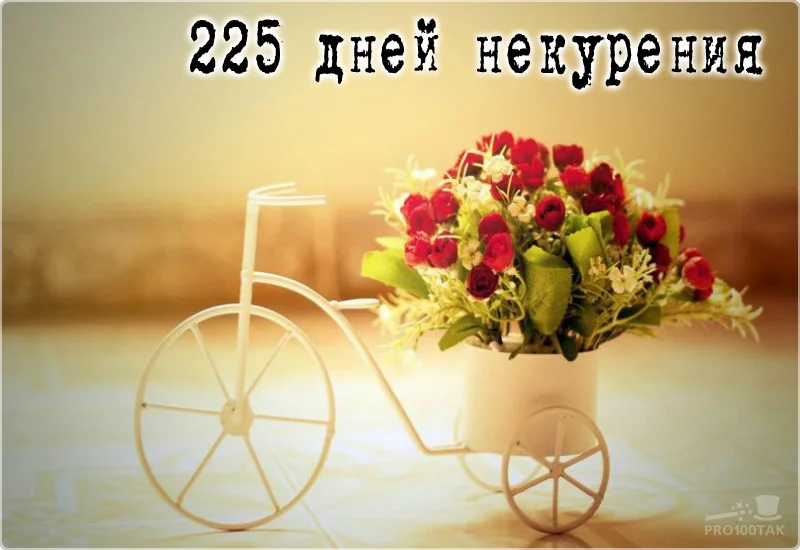 225 поздравляем.webp
