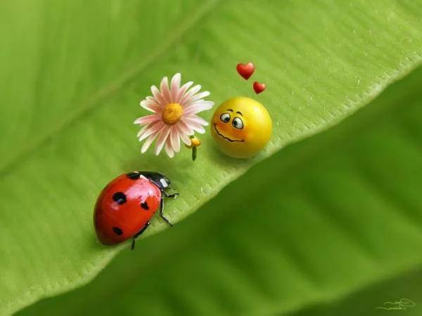 228723.webp