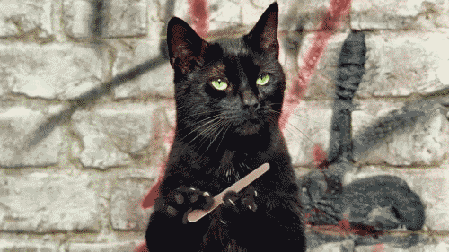 2287F722-A529-4849-A5CC-037951AF49FA.gif