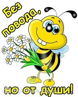 22919551.163776072.webp
