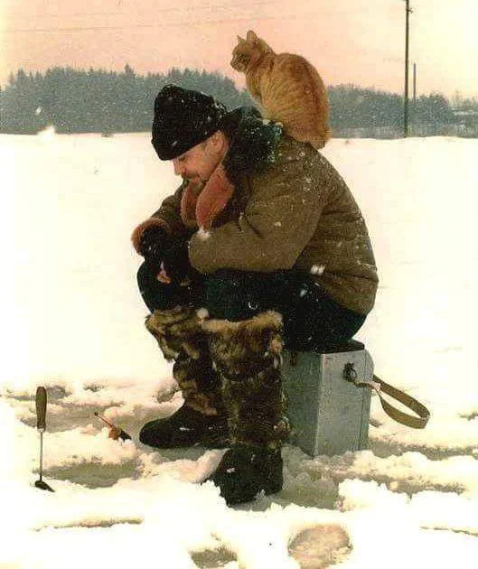 23 (1).02.2017 - 1.webp