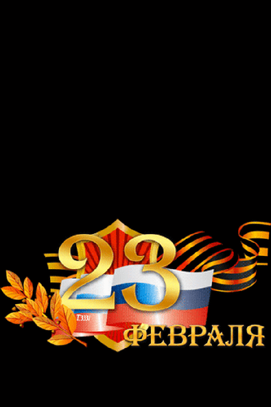 23 февраля8.gif