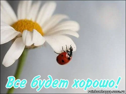 231891991.webp