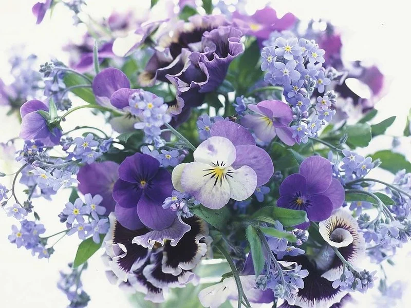 232184[1].webp