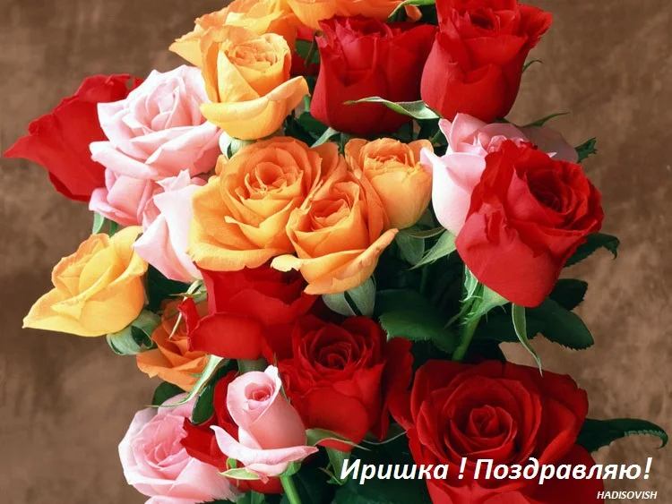 2339.webp