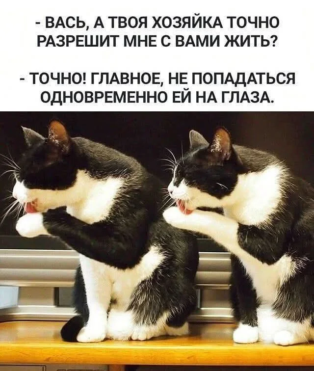 233eefefa166f0d9e62d3ea18e21813c[1].webp