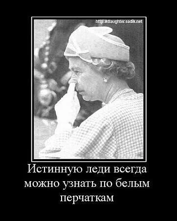 234344576567868.webp