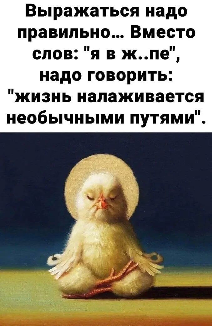 23575d0fccb5d3e6514faa6551dd4eca.webp